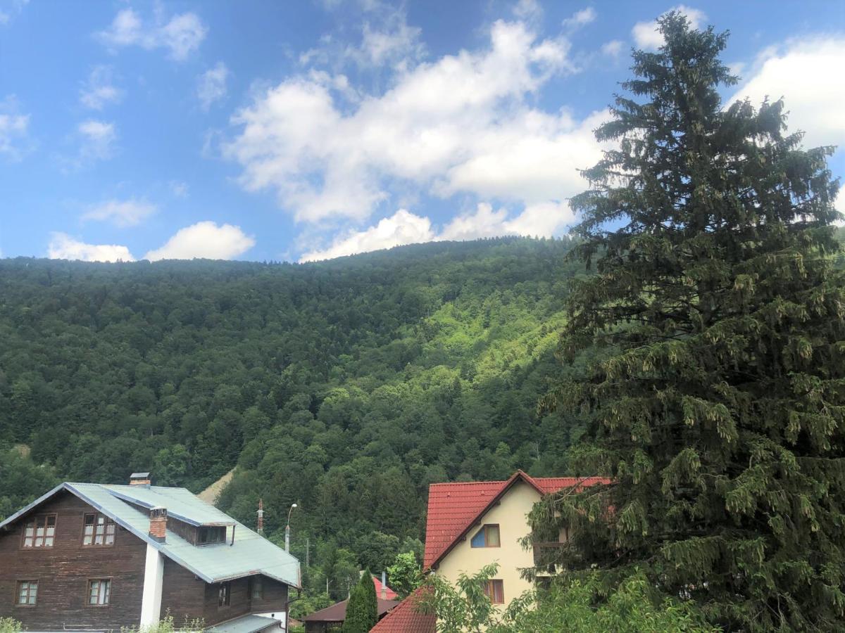 Holiday Home In Sinaia Exteriör bild